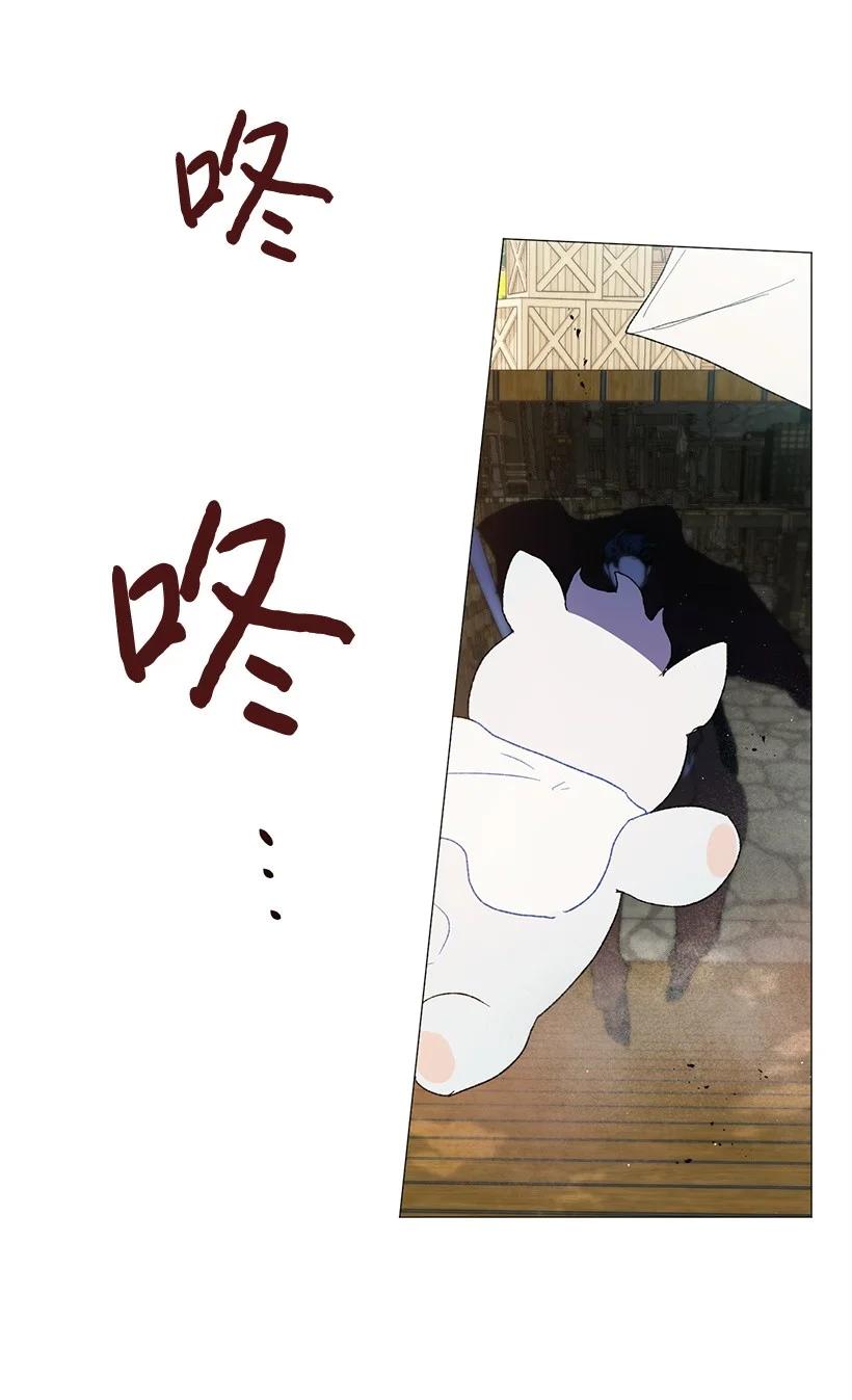 68.jpg
