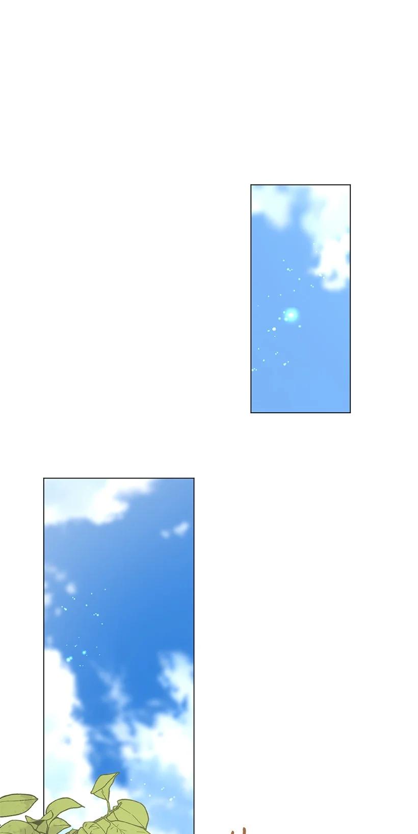 63.jpg