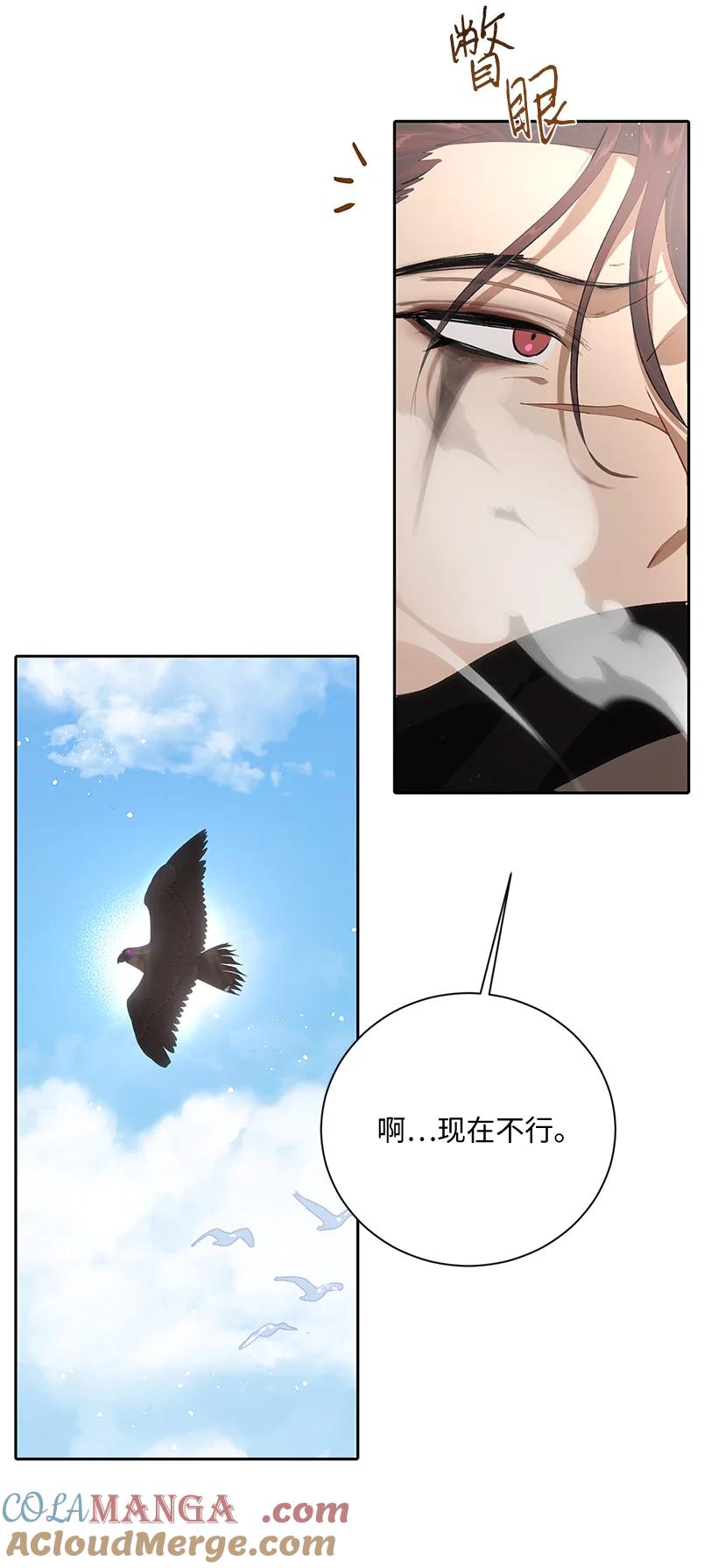 51.jpg