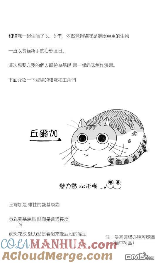 第1话-关于养猫我一直是新手-キュルZ（第1张）
