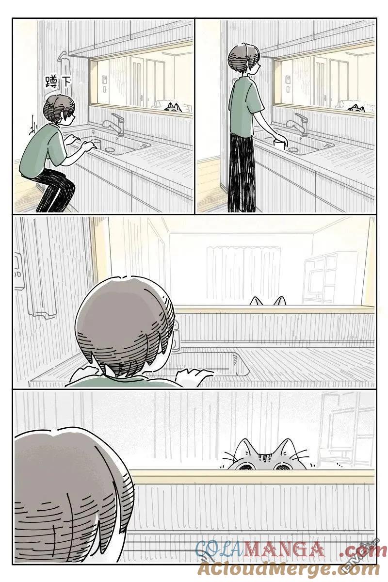 第230话-关于养猫我一直是新手-キュルZ（第1张）