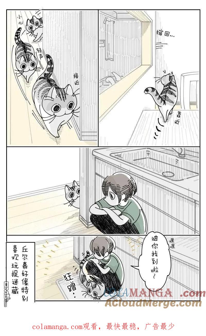 第230话-关于养猫我一直是新手-キュルZ（第3张）
