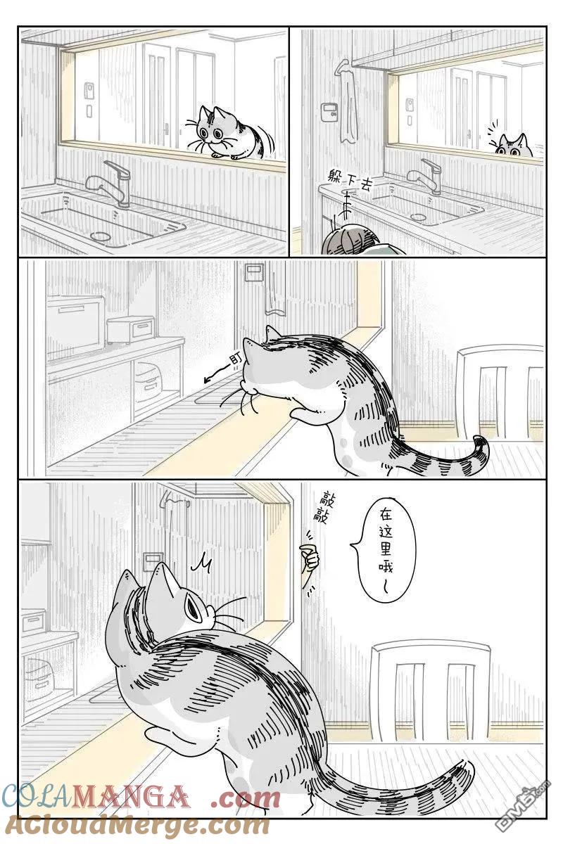 第230话-关于养猫我一直是新手-キュルZ（第2张）