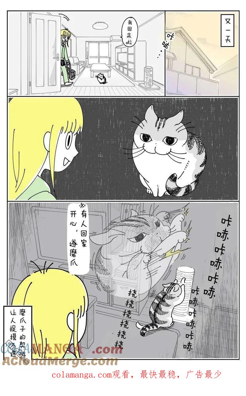 第249话-关于养猫我一直是新手-キュルZ（第2张）