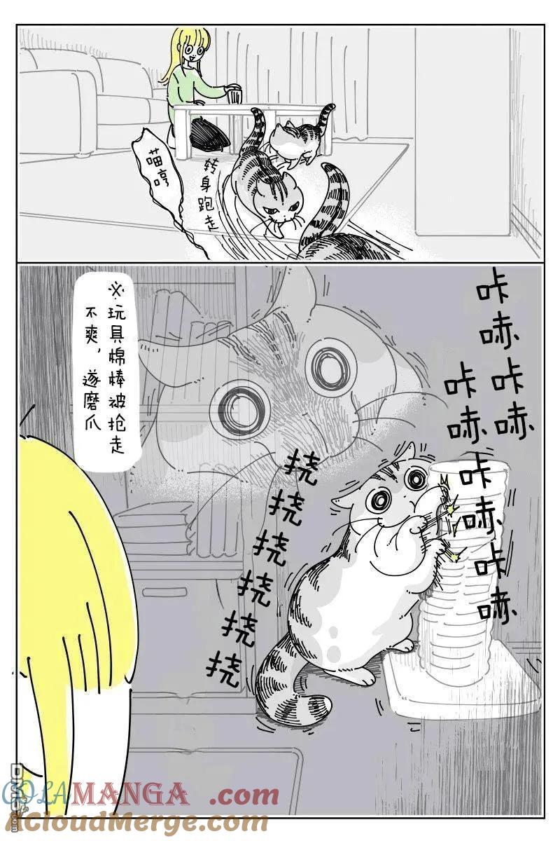 第249话-关于养猫我一直是新手-キュルZ（第1张）