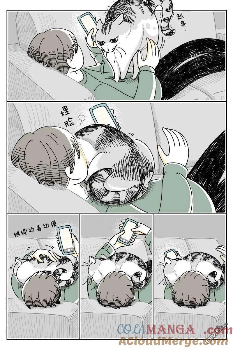 第250话-关于养猫我一直是新手-キュルZ（第1张）