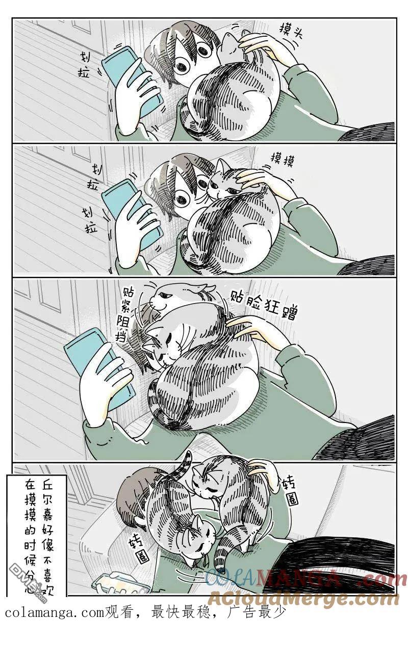 第250话-关于养猫我一直是新手-キュルZ（第2张）