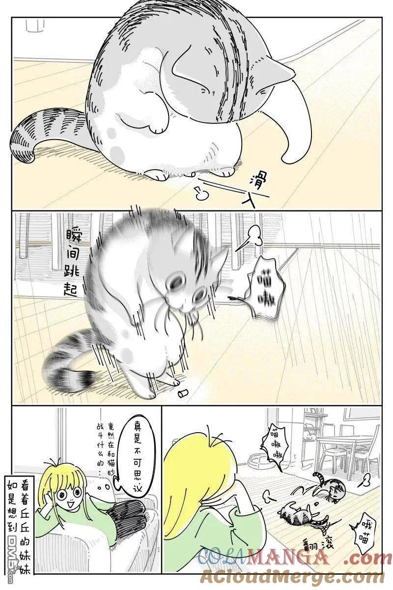 第251话-关于养猫我一直是新手-キュルZ（第1张）