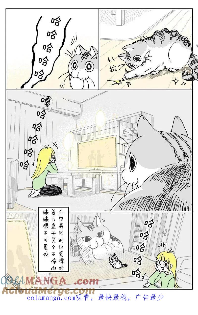 第251话-关于养猫我一直是新手-キュルZ（第2张）