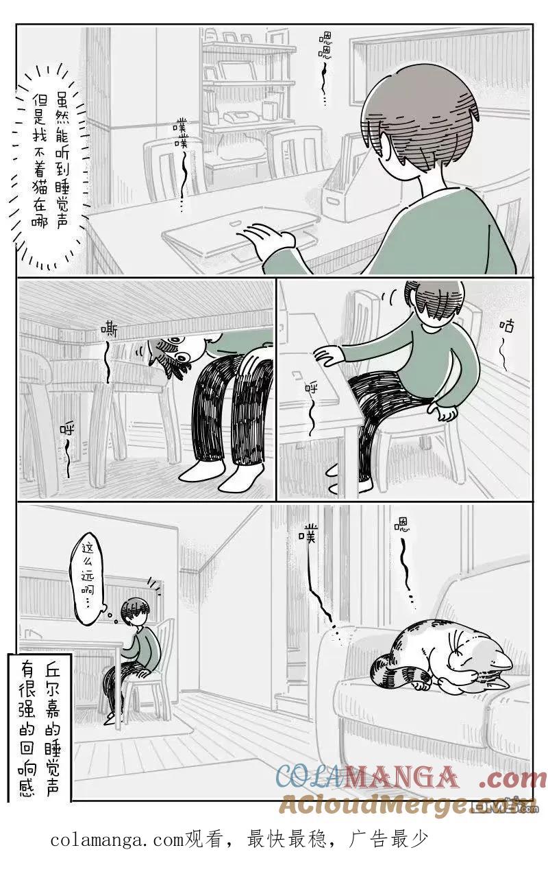 第265话-关于养猫我一直是新手-キュルZ（第1张）