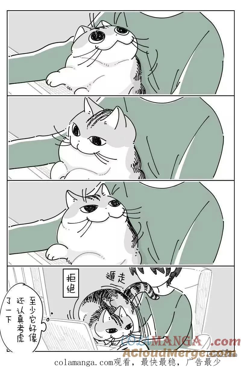 第268话-关于养猫我一直是新手-キュルZ（第2张）