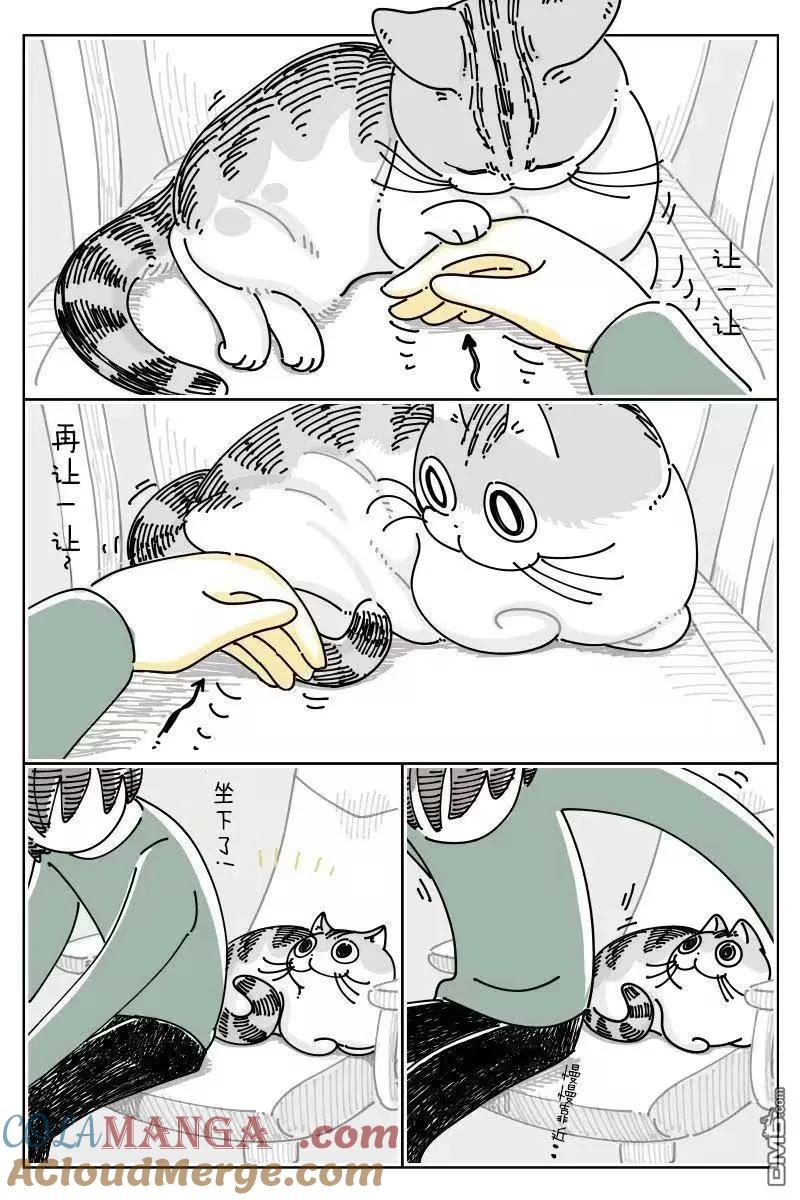 第269话-关于养猫我一直是新手-キュルZ（第1张）
