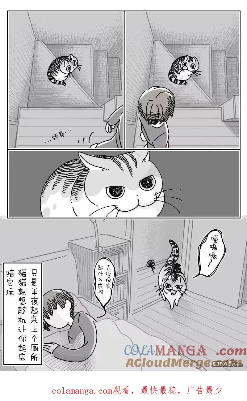 第270话-关于养猫我一直是新手-キュルZ（第2张）