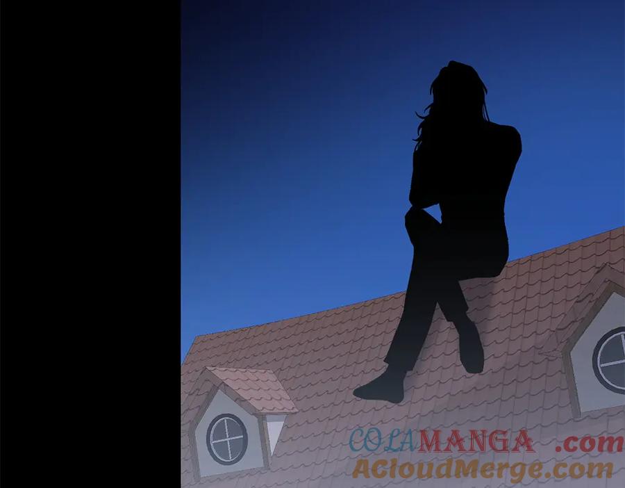241.jpg
