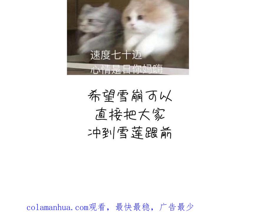 95.jpg