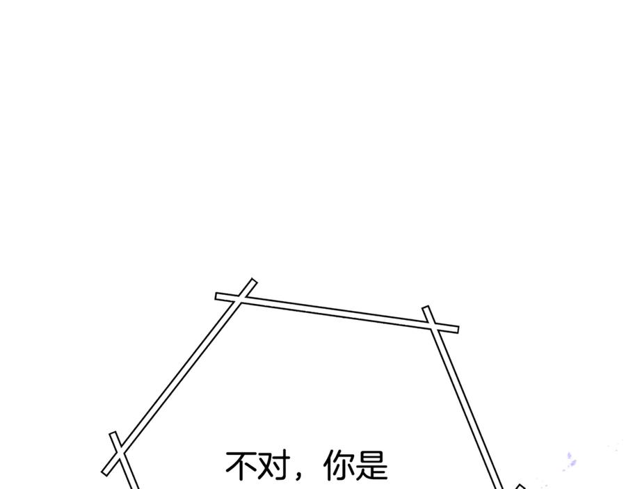 243.jpg