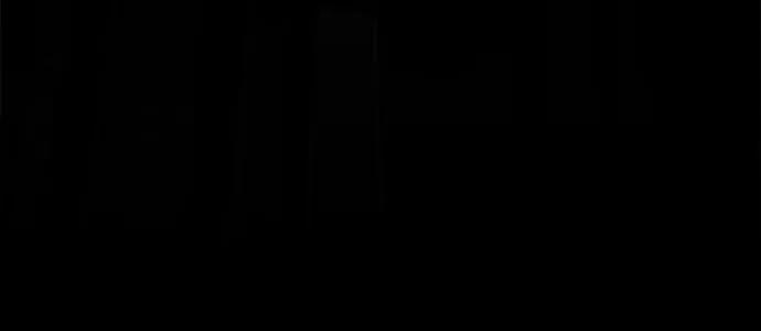 53.jpg