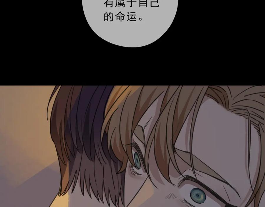 204.jpg