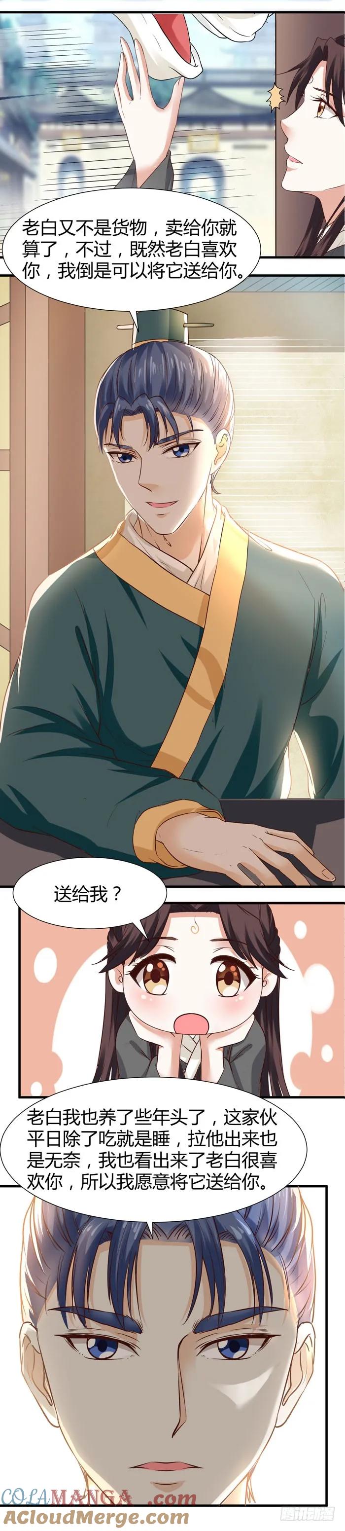 5.jpg