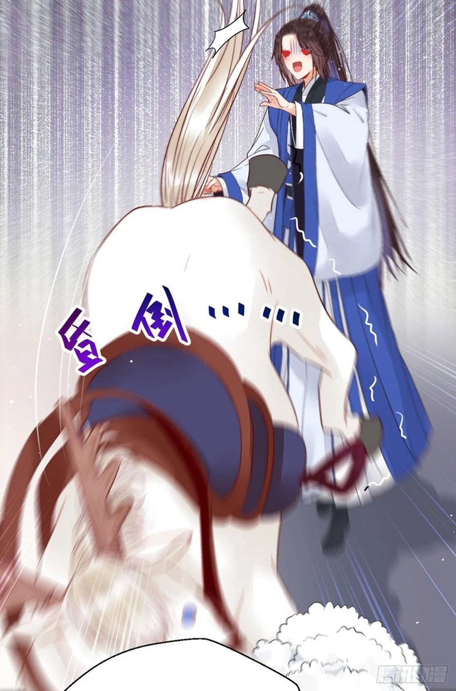 41.jpg
