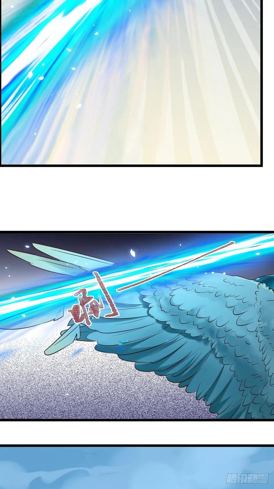 64.jpg