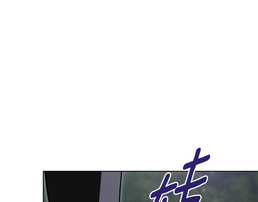 243.jpg