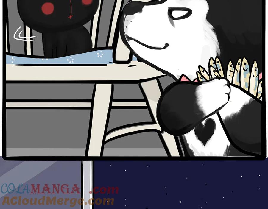 43.jpg