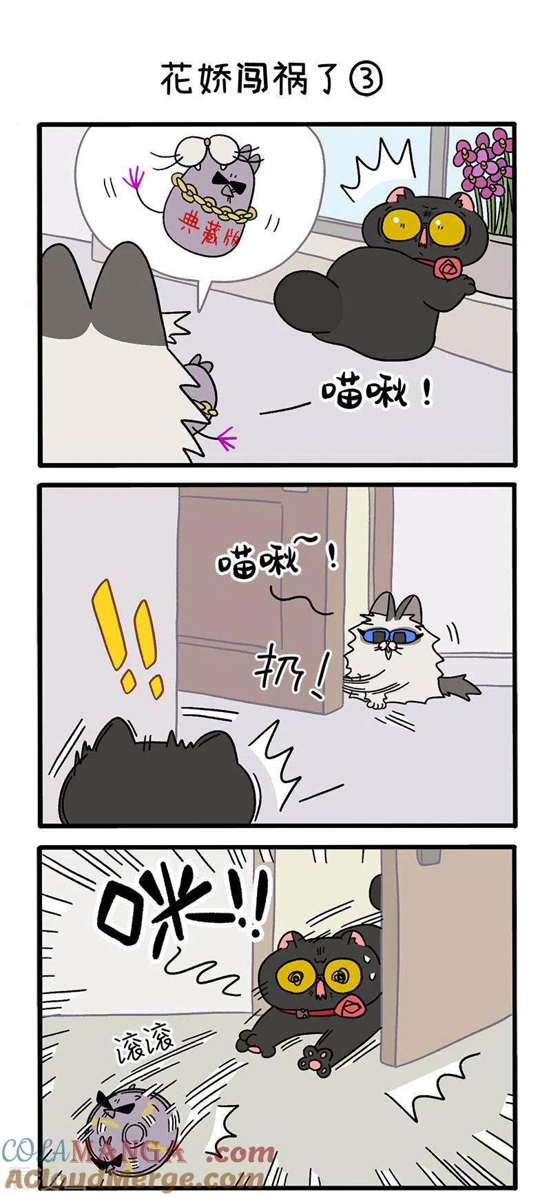 第36话1花娇闯祸了-阿满和麦茶-新漫画 日胖大海寺（第4张）