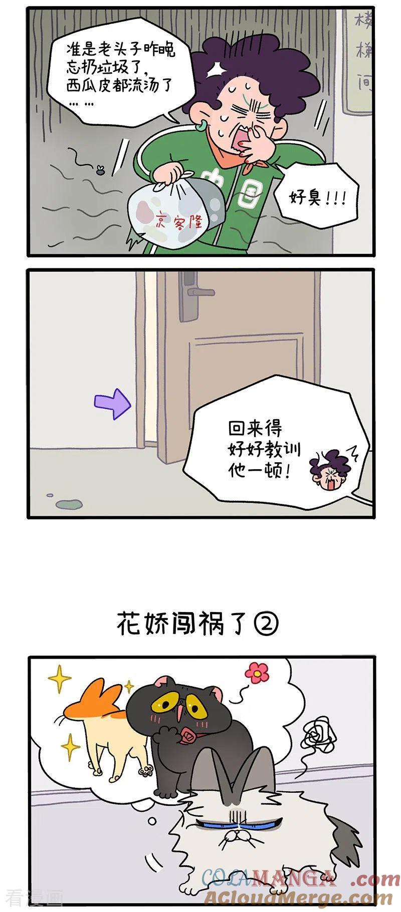 第36话1花娇闯祸了-阿满和麦茶-新漫画 日胖大海寺（第2张）