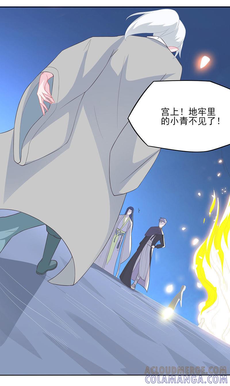 紫宣元神-天乩之白蛇传说-追梦动漫（第5张）