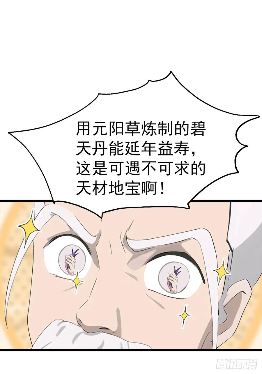17.jpg