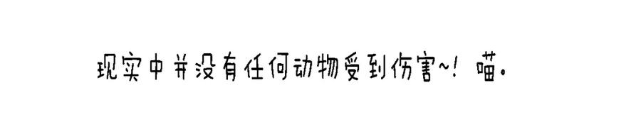 104.jpg