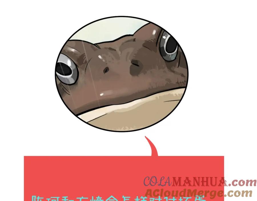 113.jpg