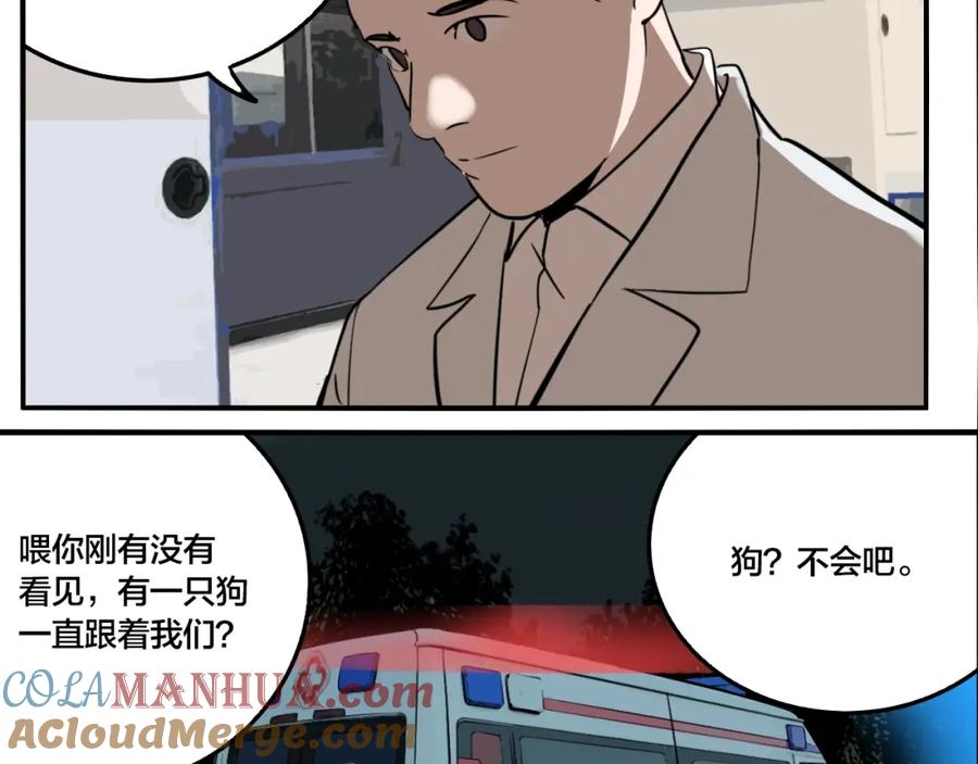 93.jpg