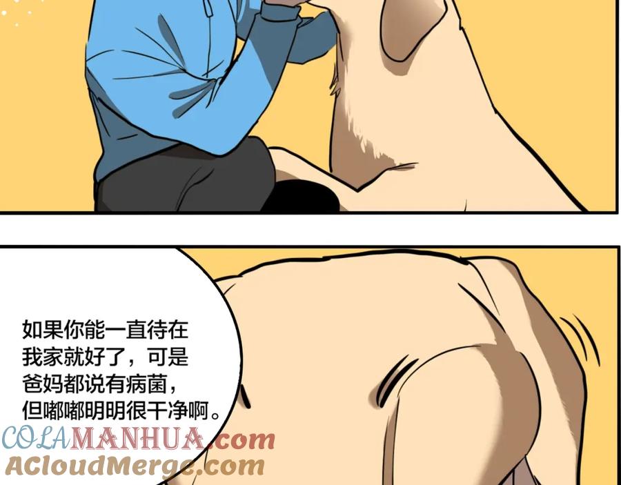 61.jpg