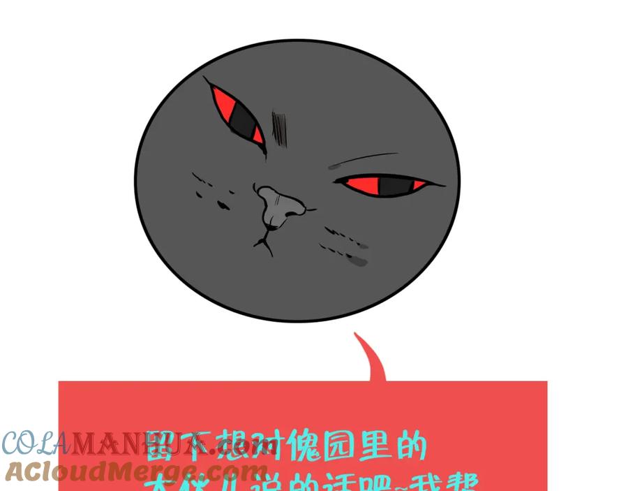133.jpg