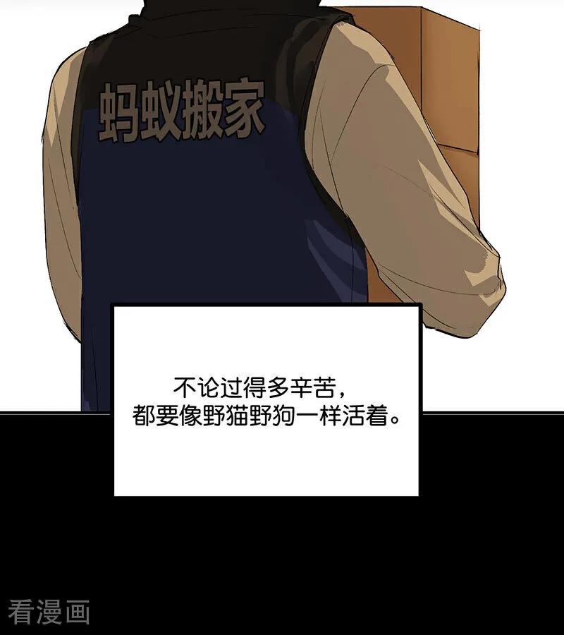 第43话音乐之神-C位成神3-籍火文化（第14张）