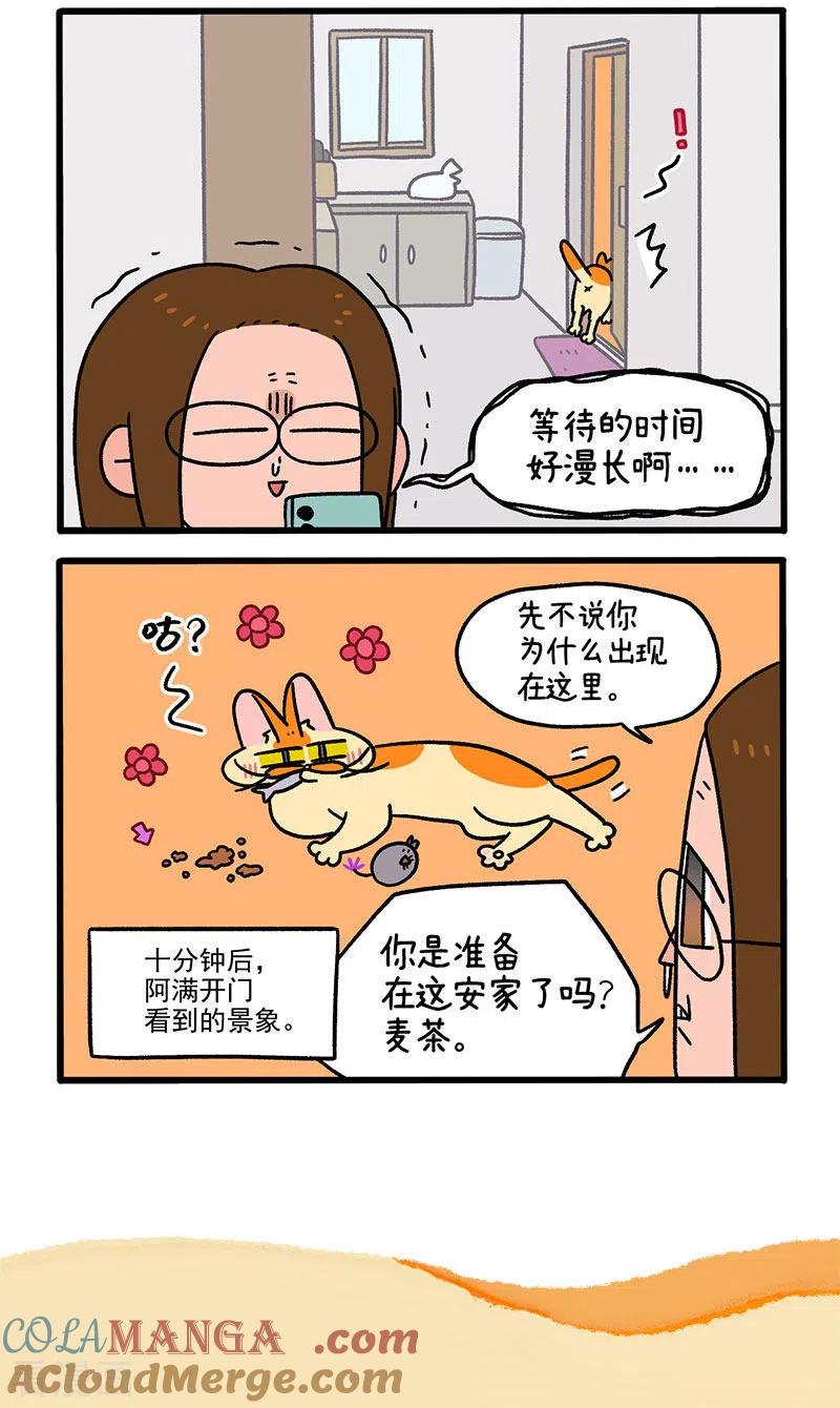 第59话1供暖前的寒冷地狱-阿满和麦茶-新漫画 日胖大海寺（第6张）