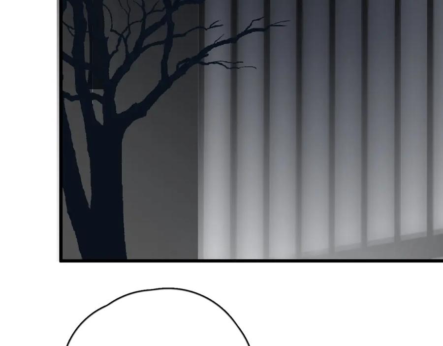 78.jpg