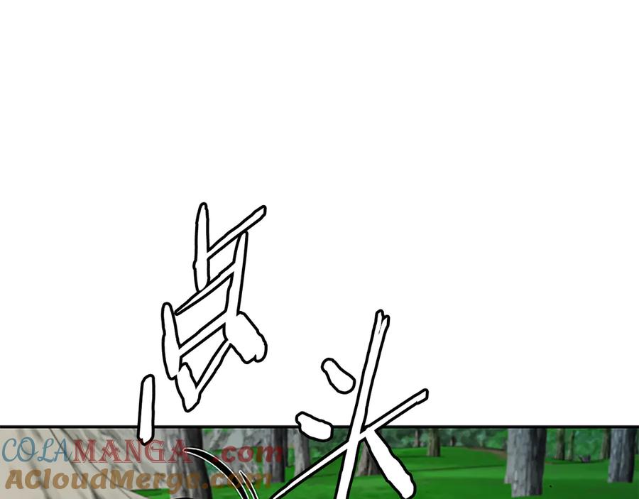 213.jpg