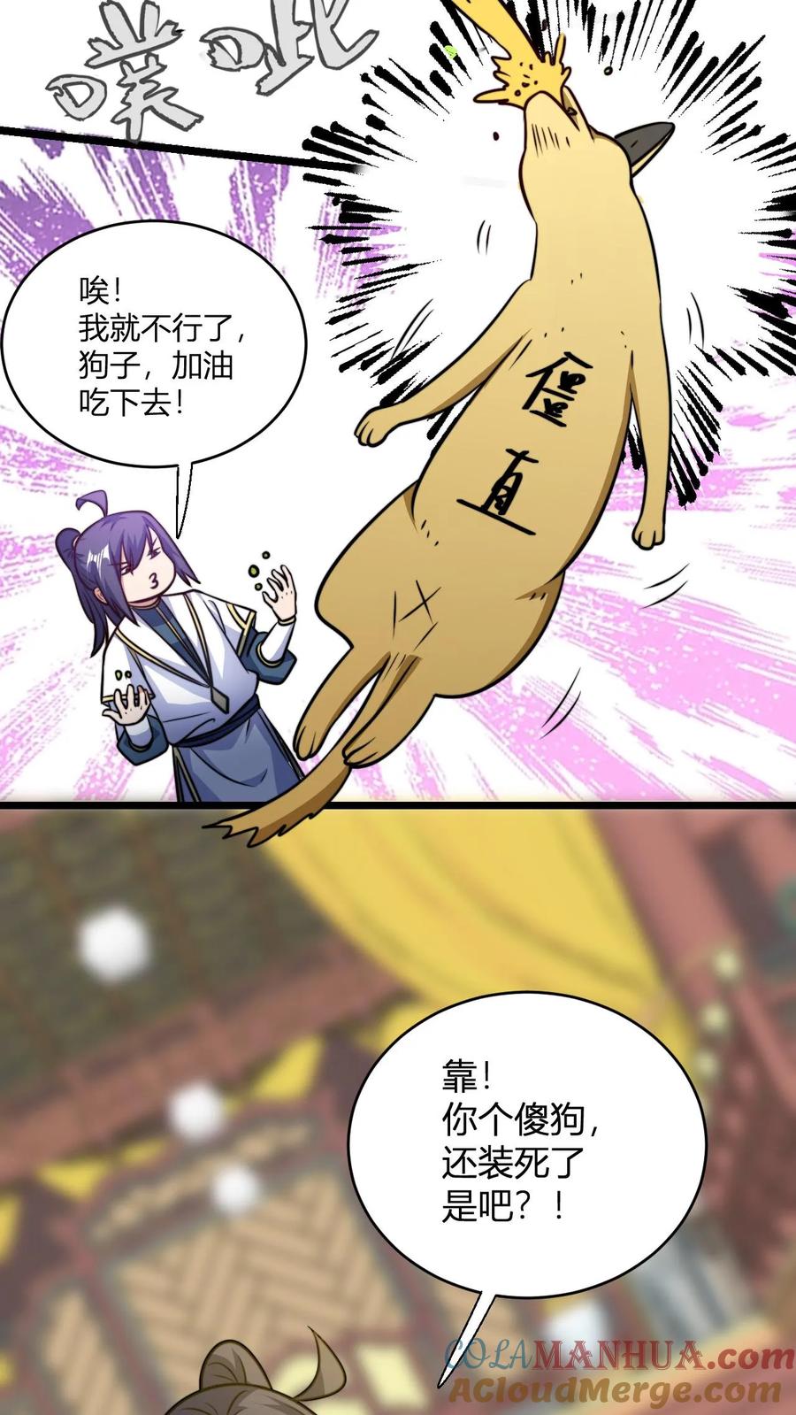 5.jpg