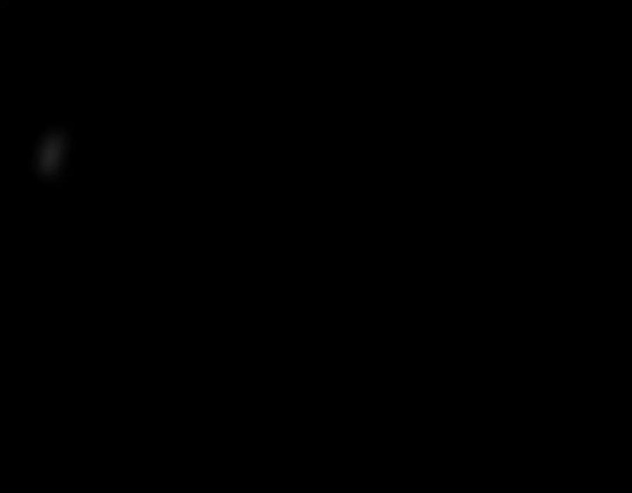 94.jpg
