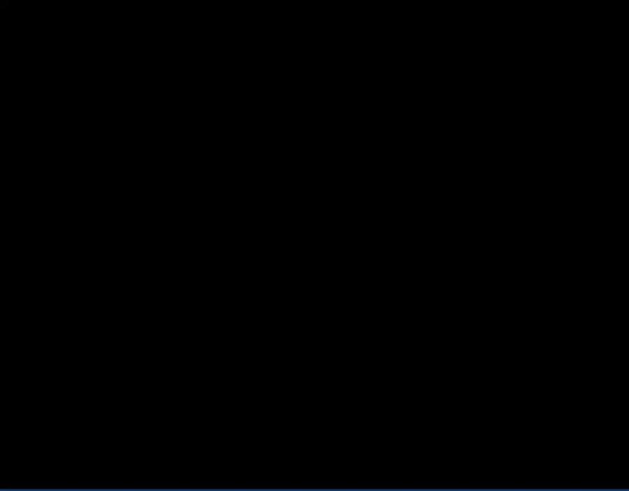 284.jpg