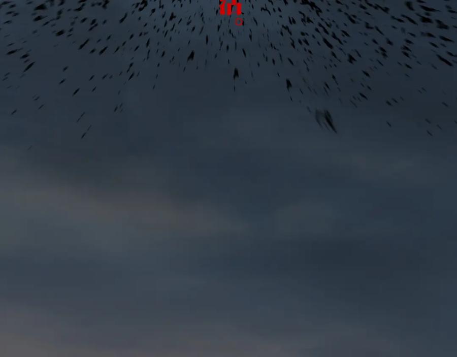 107.jpg