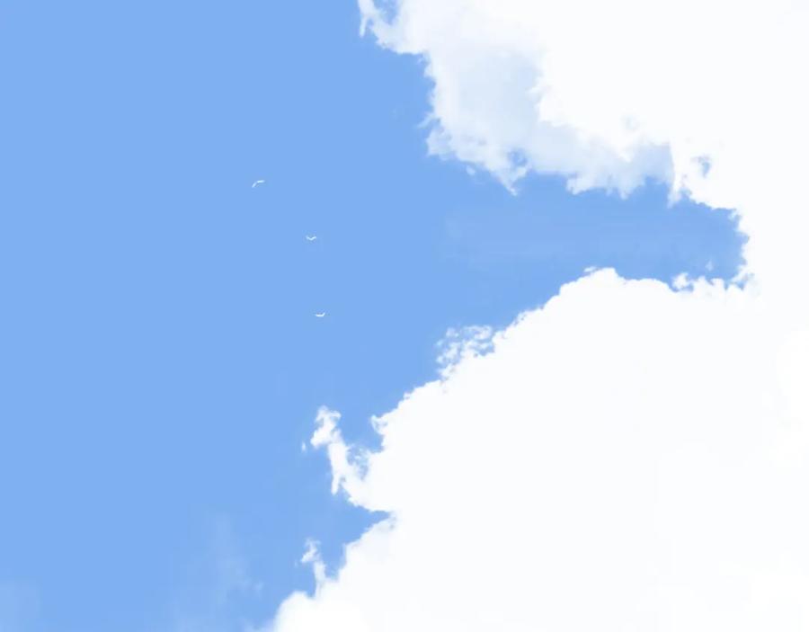 106.jpg