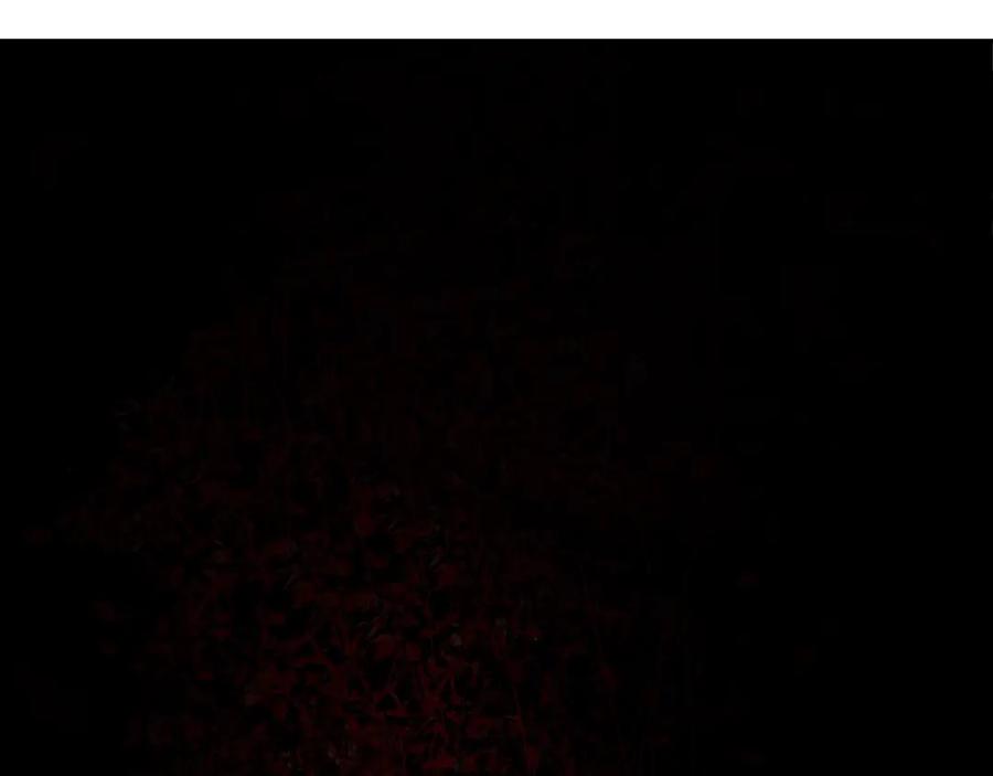 106.jpg