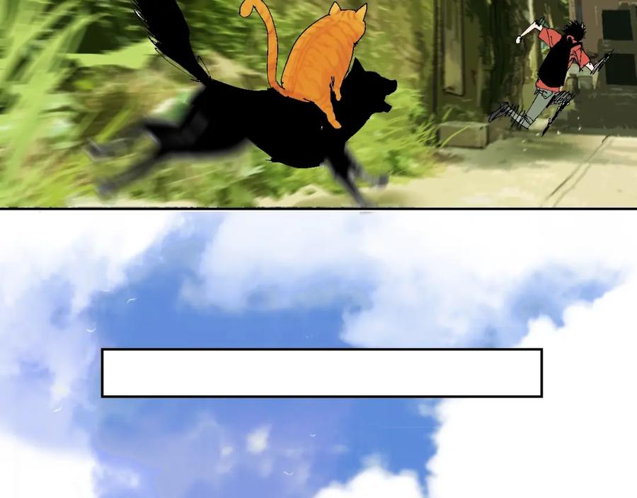 64.jpg