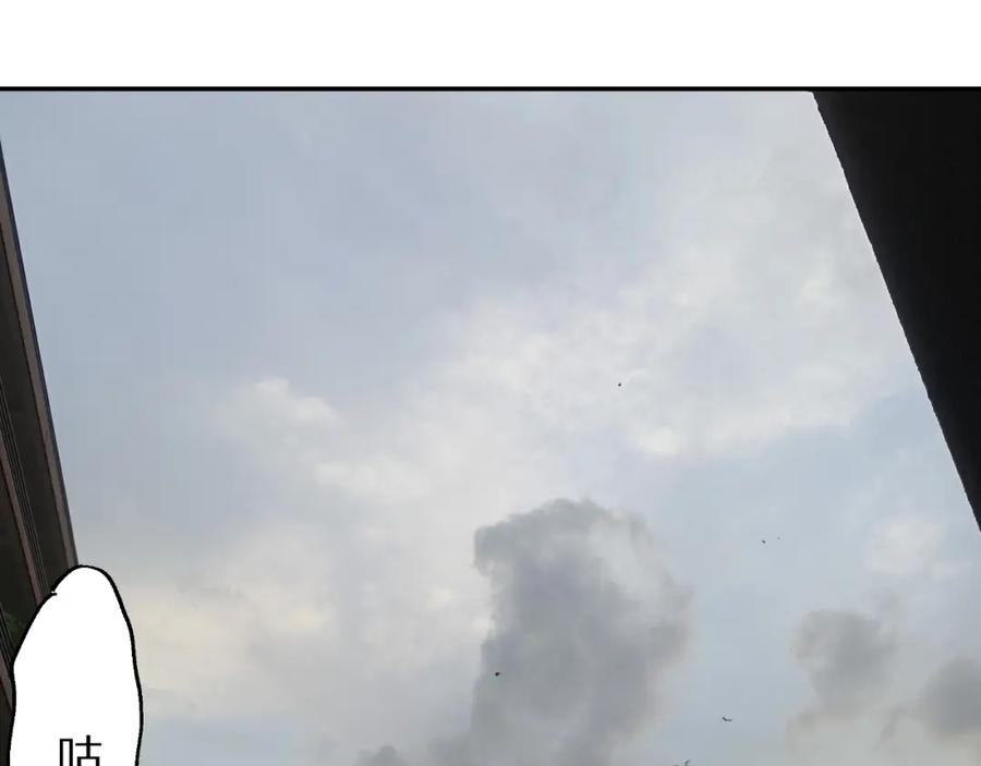 48.jpg