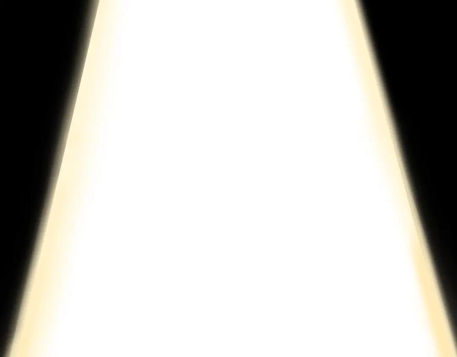 100.jpg
