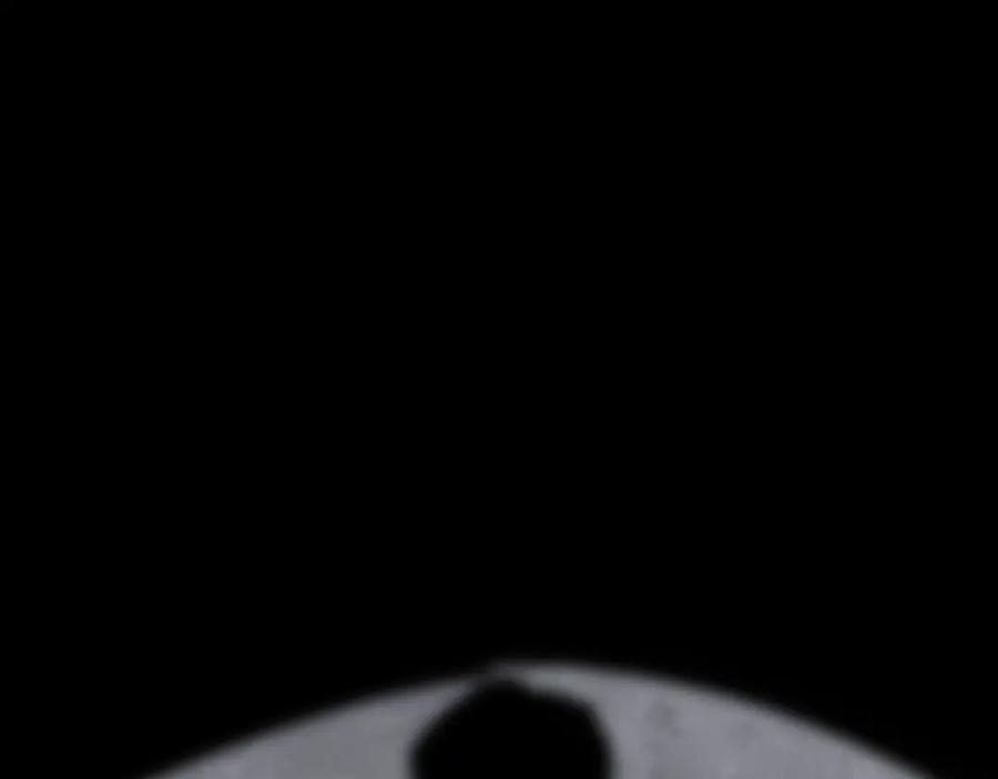 124.jpg